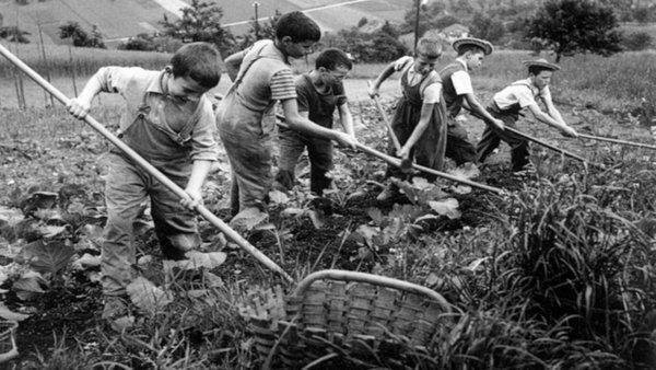 Kim Milyoner Olmak İster? yarışmasındaki o sorunun videosu Twitter’da Türkiye’nin en çok izlenenlerinden oldu