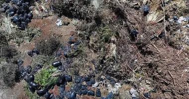 İzmir’de uykuları kaçıran kabus!