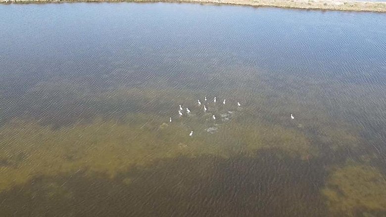 Çanakkale’de ortaya çıktı: İklim değişikliğinin bu etkisini kimse böyle beklemiyordu!