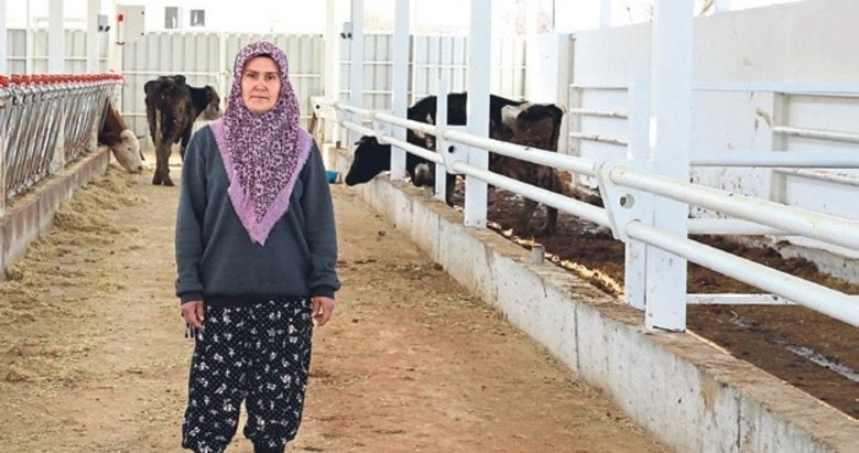 Kadın girişimci devlet desteğiyle çiftlik kurdu