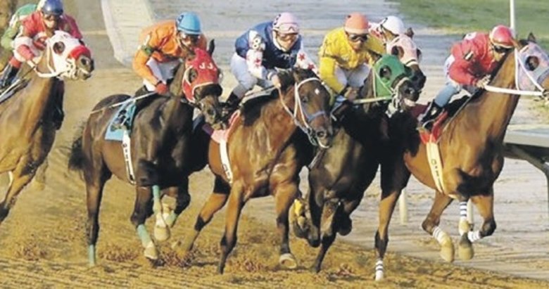 Altılı ganyan 213.523 lira verdi