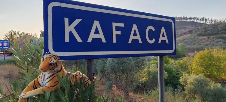 Kafaları karıştıran ’Kafaca’ya ilginç çözüm