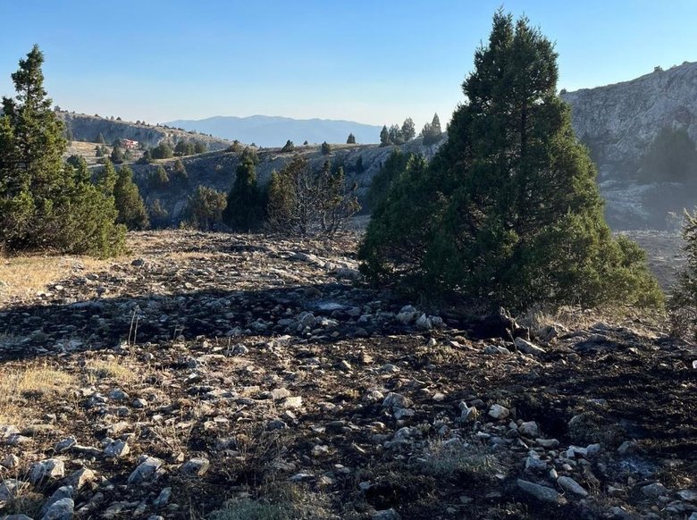 Kütahya’daki yangında 10 dekar alan zarar gördü