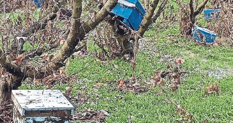 Arıcıları sel vurdu