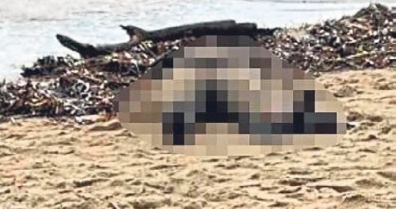 Sahile vuran cesedin sır perdesi aralanıyor