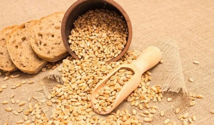 Beta glukan ne işe yarar? Faydaları nelerdir?