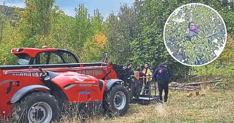 Ceviz ağacından inemeyen kadını itfaiye kurtardı