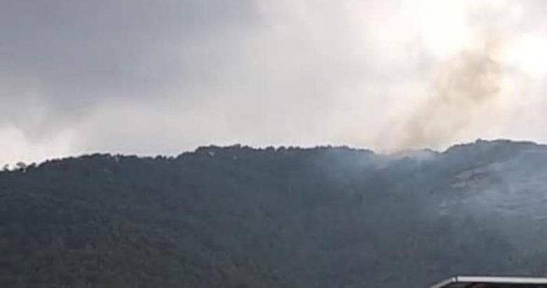 Denizli’de düşen yıldırım ormanda yangın çıkardı