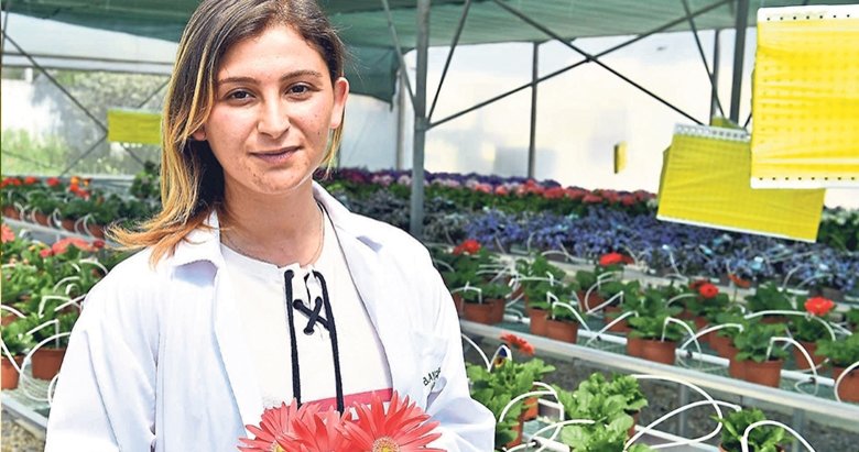 Bayındır’ın çiçekleri Hollanda’ya gidiyor