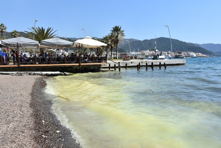 Marmaris’te denizin kıyısı sarıya boyadı