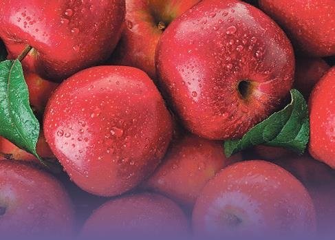 Karaciğerinizi temizleyin!