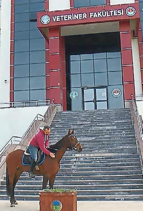 Üniversitenin atlı profesörü