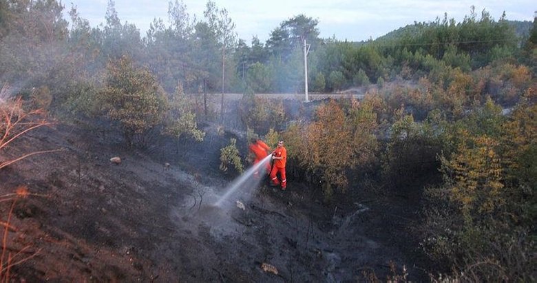 Kütahya’daki orman yangını kontrol altına alındı! Çalışmalar sabaha kadar sürdü