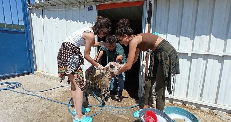 Ünlü oyuncular İrem Helvacıoğlu ve Melisa Aslı Pamuk’tan yangında zarar gören hayvanlara yardım eli