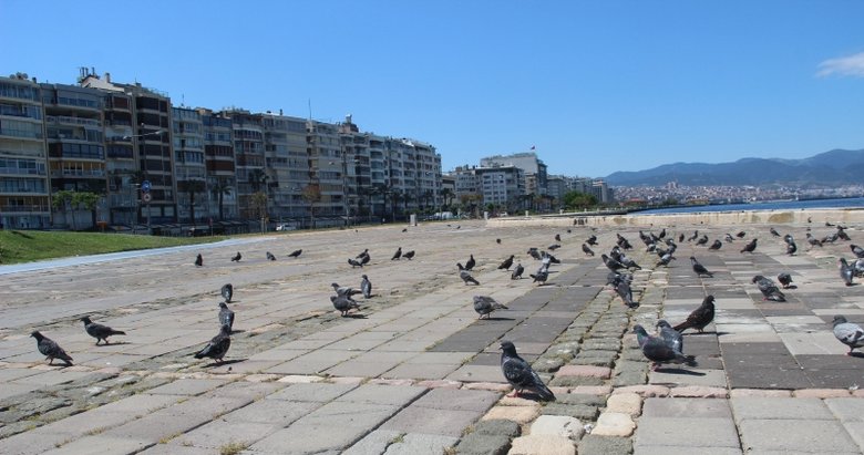 İzmir sokakları kuşlara kaldı