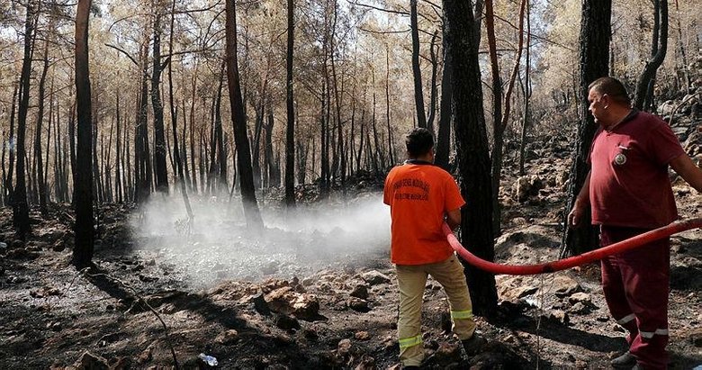 Fethiye’de alevler, 5 hektar ormanlık alanı küle çevirdi