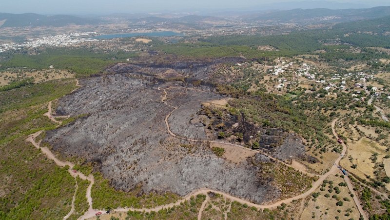 MuÄla'da yanan ormanlÄ±k alan havadan gÃ¶rÃ¼ntÃ¼lendi