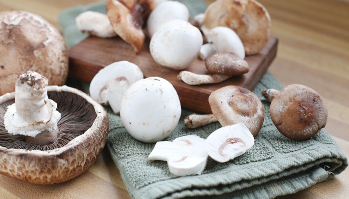 Sağlık Bakanlığı’ndan mantar zehirlenmelerine karşı uyarı