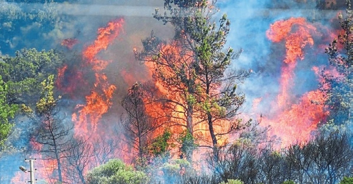 2025’te en çok İzmir’in ormanları yandı