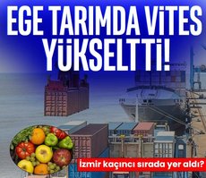 Ege tarımda vites yükseltti!