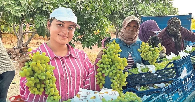 Ege’de üzüm hasadı heyecanı