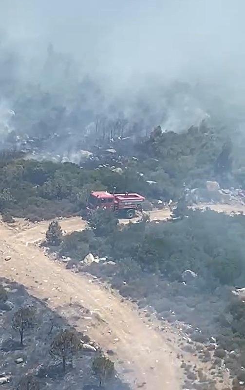 İzmir Menderes’te orman yangını! Ekipler alarma geçti