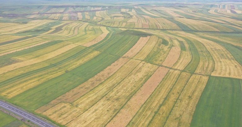 Bakanlık’tan tarımsal üretim planlaması ve teşviki adımı