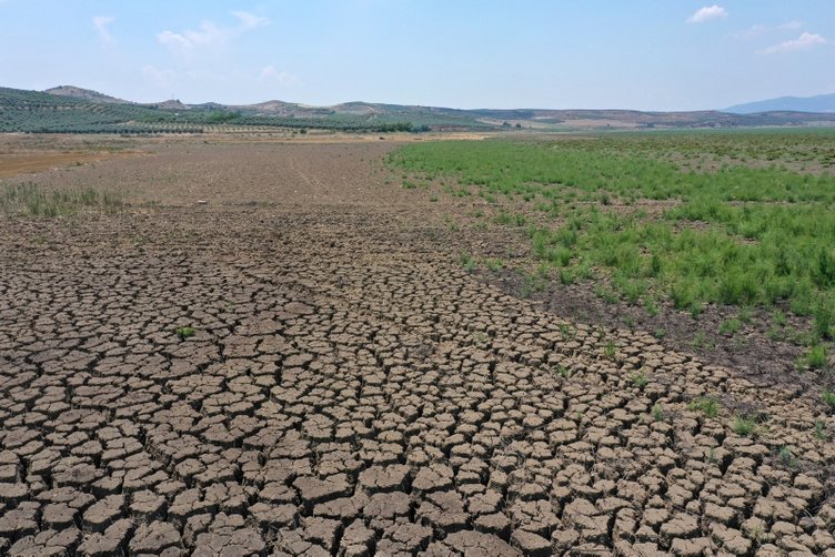 Uzun yılların en kurak ilkbaharı! İzmir ve Manisa’da baraj suları ne seviyede?