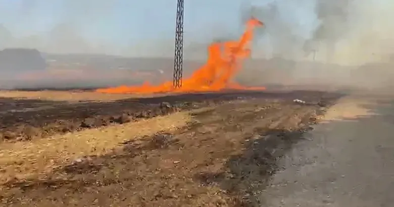 SON DAKİKA: Çanakkale’de arazi yangını: 6 saat sonra kontrol altına alındı