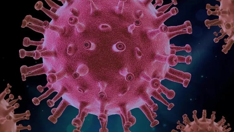 Eris virüsü nedir? Eris virüsü belirtileri nelerdir?