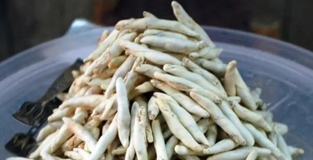 Faydası dillere destan... Sigarayı bile...