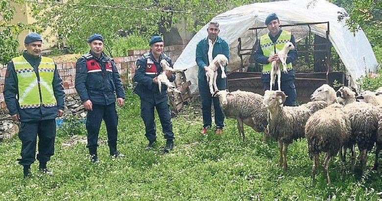 Kayıp koyunlar sürpriz yaşattı