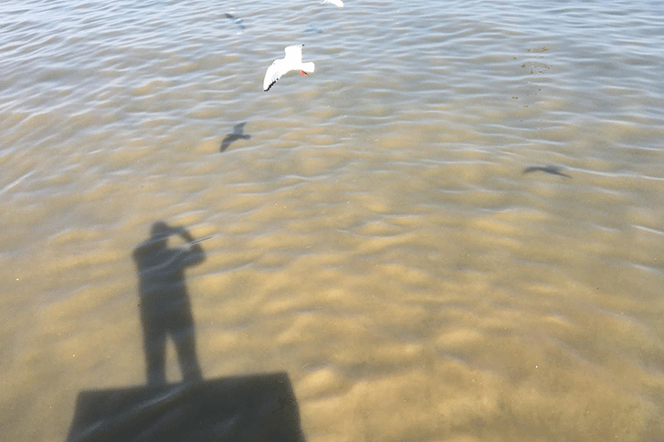 Başkan Hani Yüzecektik!