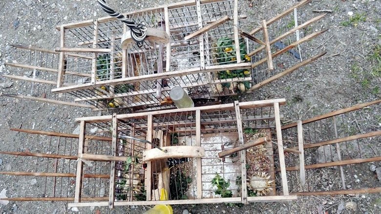 Tuzakla saka kuşu avlayan 2 kişiye 8 bin 300 lira ceza