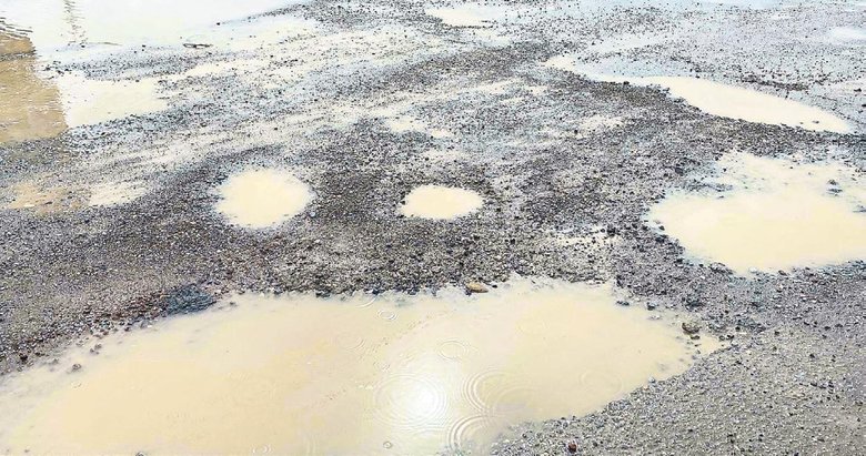 Seferihisar’da yol ve çevre katliamına isyan