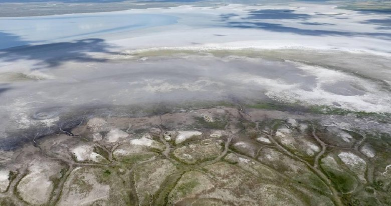 Türkiye’nin çölleşme ile mücadeledeki yol haritası açıklanacak