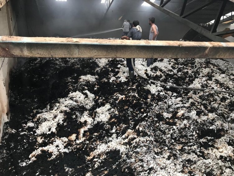 İzmir Foça’da pamuk deposu yandı