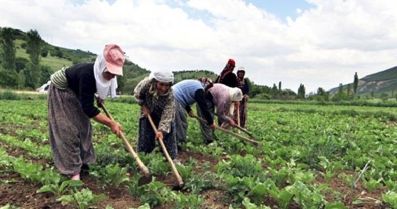 Kütahyalı çiftçilere 2,2 milyon TL’lik hibe desteği