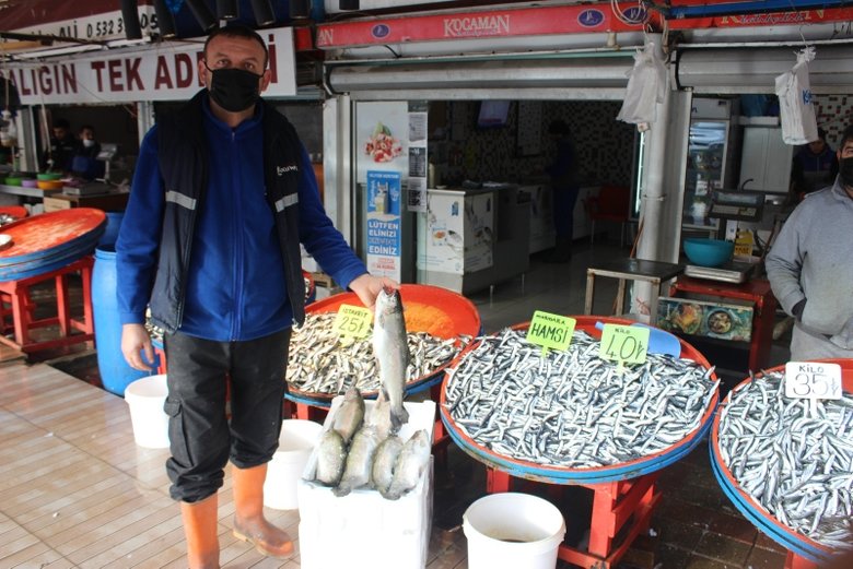 Sıcak havalar hamsi fiyatlarını vurdu
