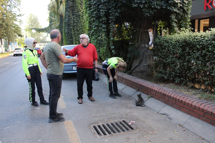 Aydın’da duyarlı kadın trafikçiler yol kenarında mahsur kalan ayağı kırık kediyi kurtardı