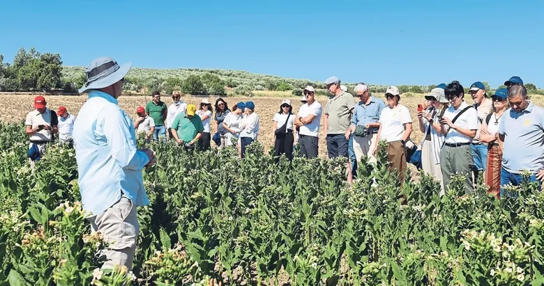 İzmir’de tütün zirvesi düzenlendi