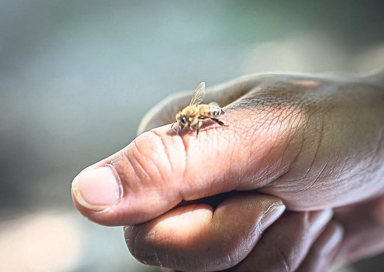 2 milyon arının Çiçek annesi