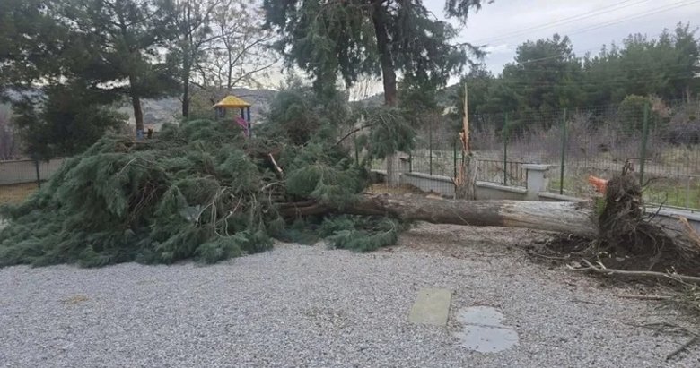 Denizli’de fırtına! Baca kapağını uçtu, ağaç devrildi!