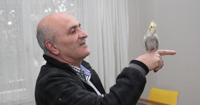 İzmir’de ağaçta mahsur kalan papağan ekipleri seferber etti