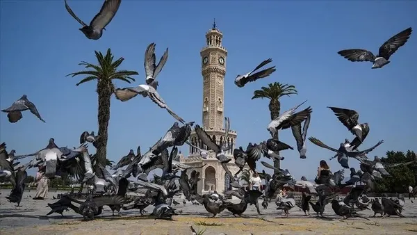 kimi-sakinlik-ariyor-kimi-hareket-izmirin-en-sevilen-ilceleri-belli-oldu-1785405036409.png