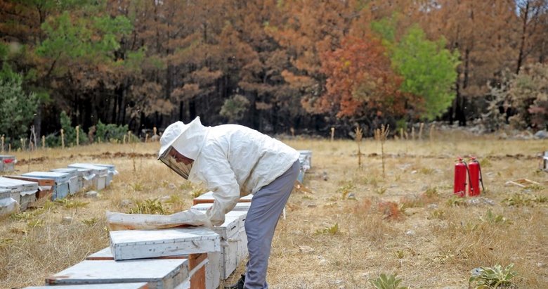 Tecrübeli arıcı yangında 300 kovanını yangın tüpleri sayesinde kurtardı!