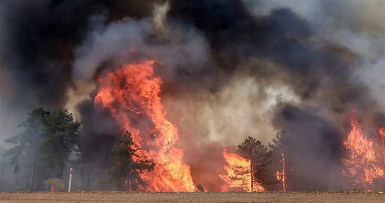 Bursa’da havai fişekle yangın çıkaran 4 kişi yakalandı