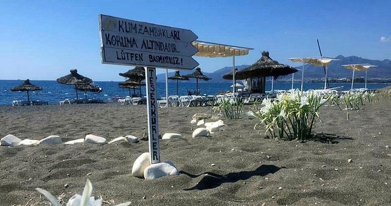 Bu çiçeği koparmanın cezası araba parası