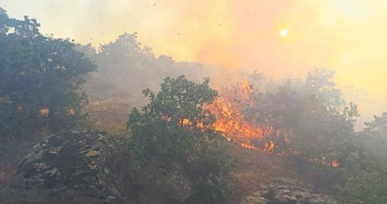 Orman yangınının bilançosu: 35 dekar meşe ormanı 25 dekar tarım arazisi