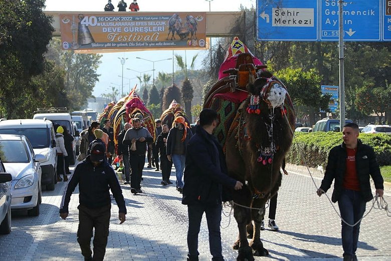 İzmir’deki en süslü deve seçildi